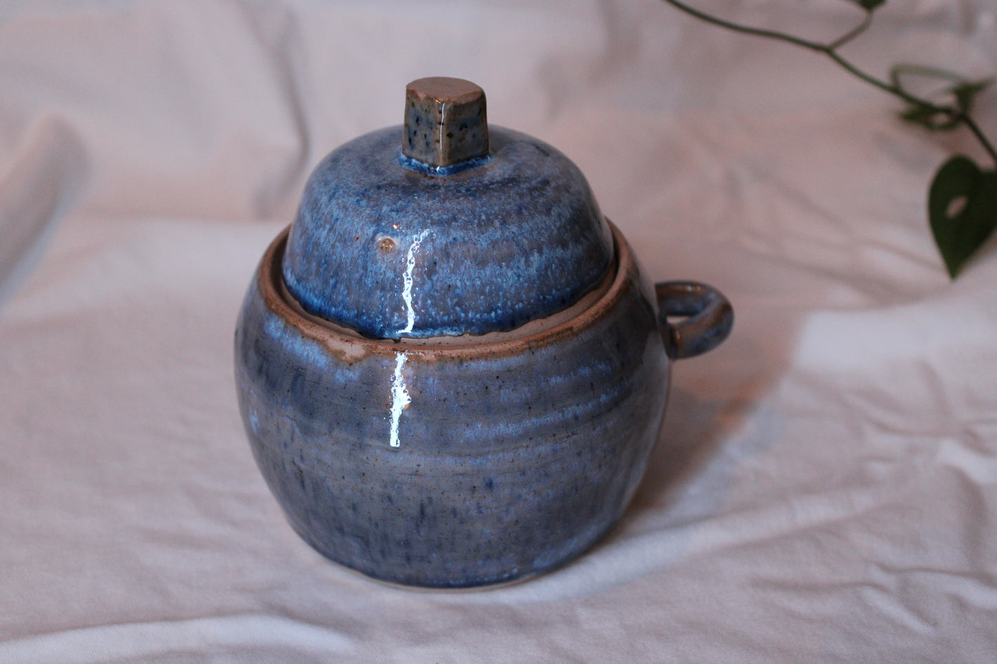 Honey Pot